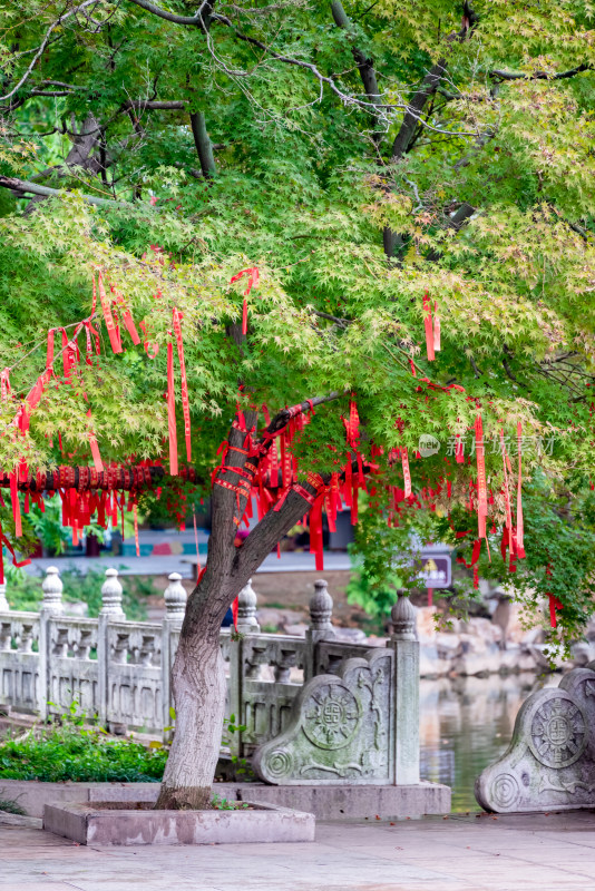 江苏镇江市焦山风景区风光