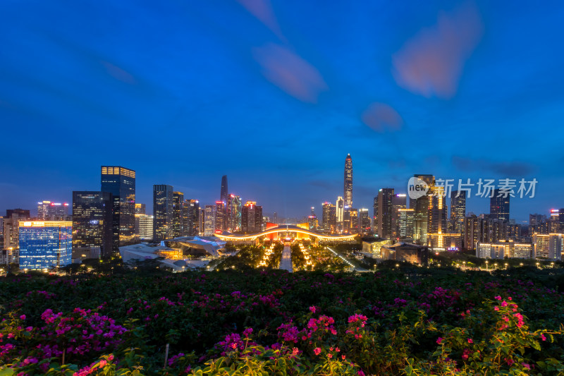 深圳福田中心区灯光秀夜景