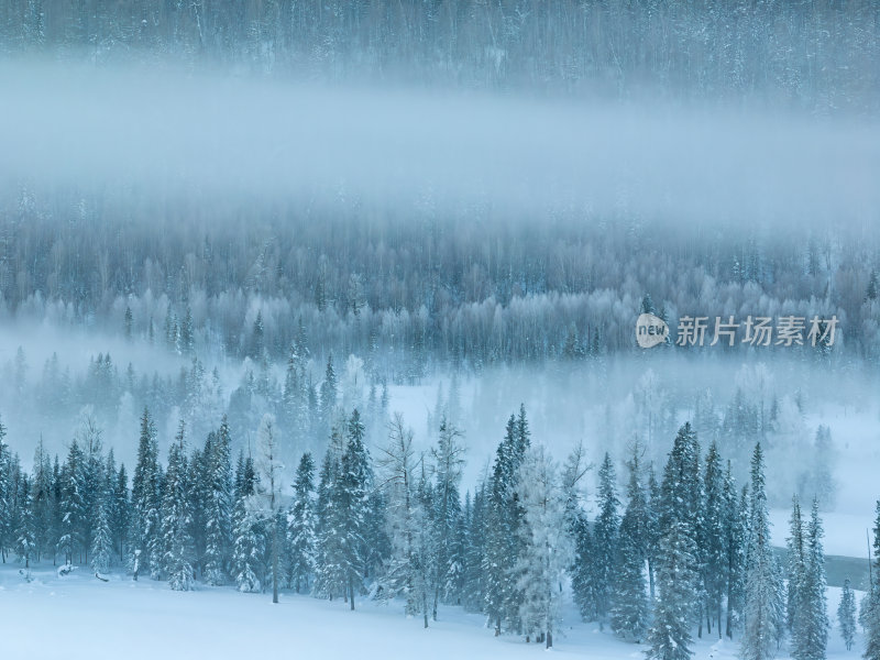 新疆北疆阿勒泰喀纳斯冬季雪景童话世界航拍