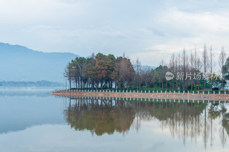 湖边树木倒影自然景观