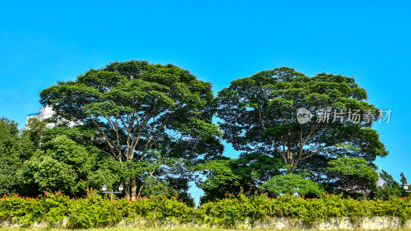 福州流花溪公园