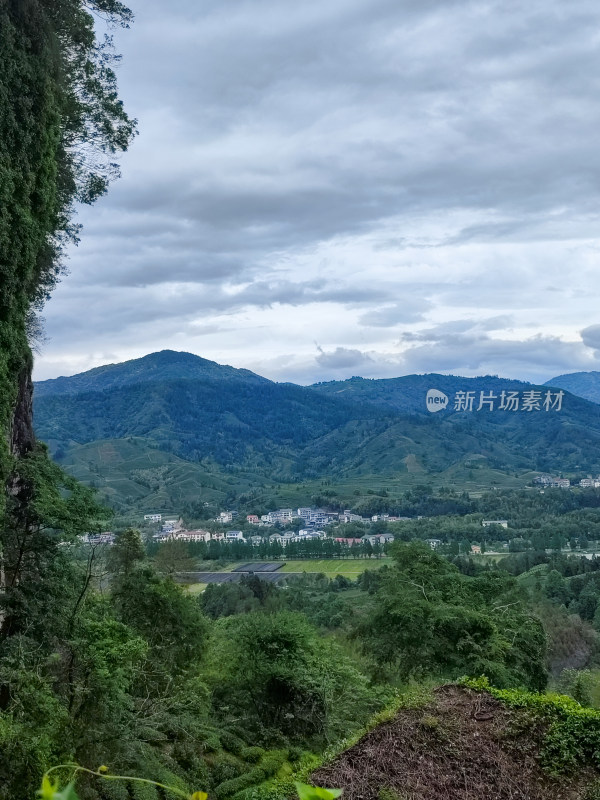 山间绿意环绕的村庄远景图