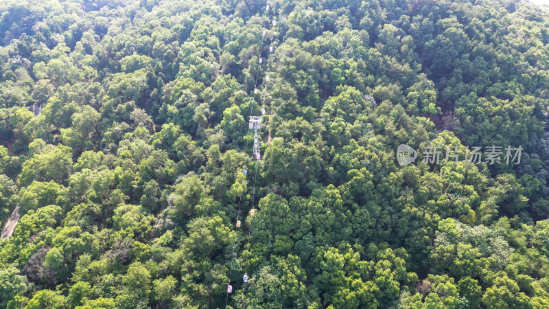 航拍武汉东湖珞珈山5A景区