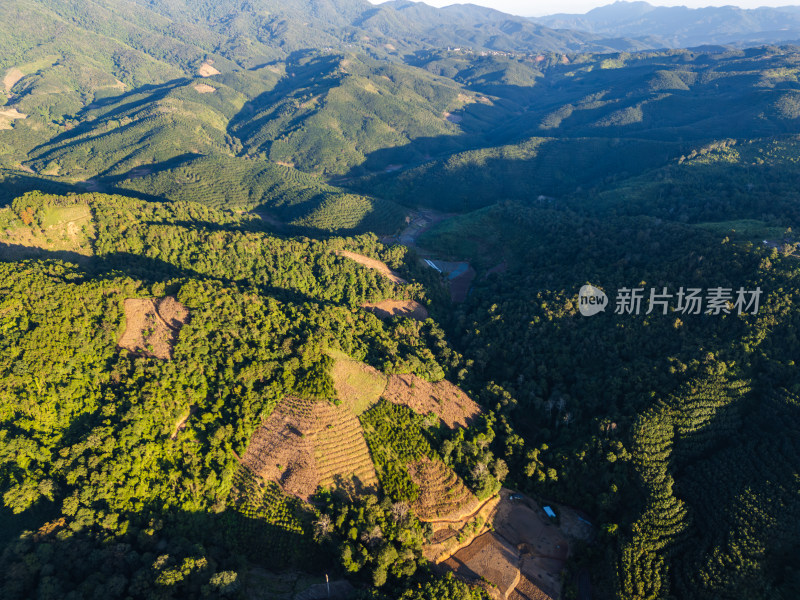 航拍视角下的大片绿色山林山脉全景