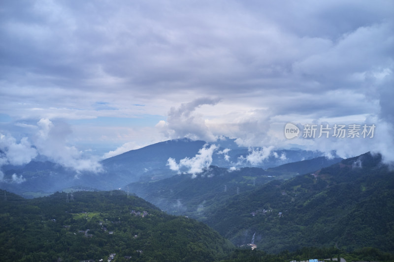 峨眉山的原始森林