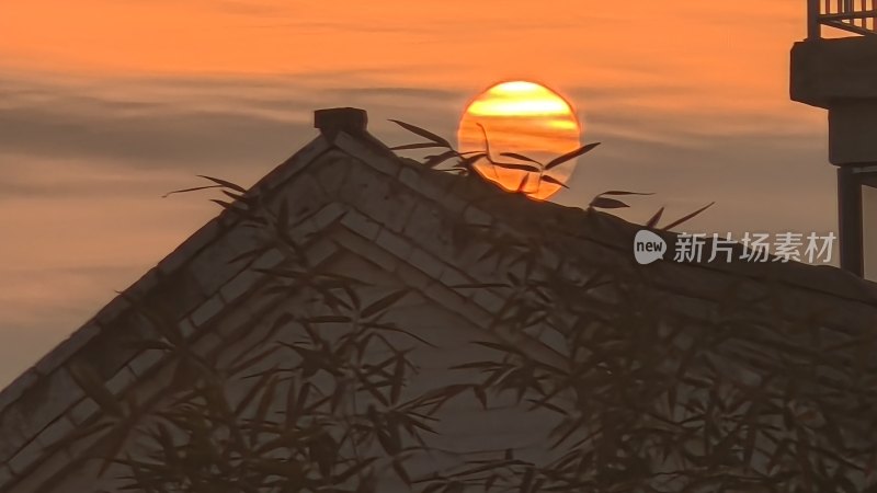 屋顶之上夕阳与竹叶景象