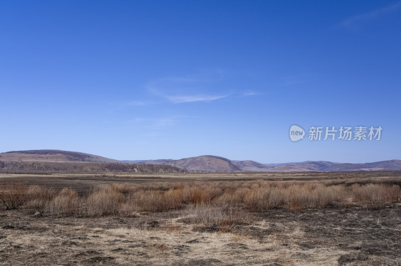 内蒙古呼伦贝尔临江屯草原牧场秋景