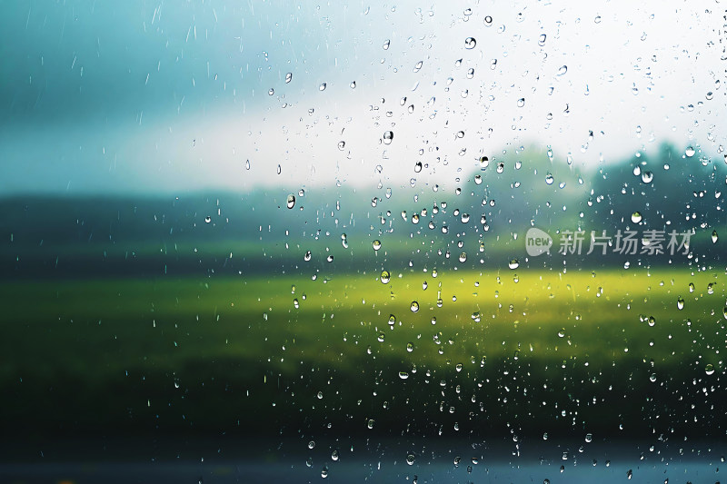 自然风景植物背景雨水