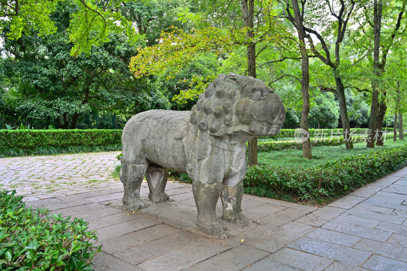 南京钟山明孝陵景区石像路夏季狮子