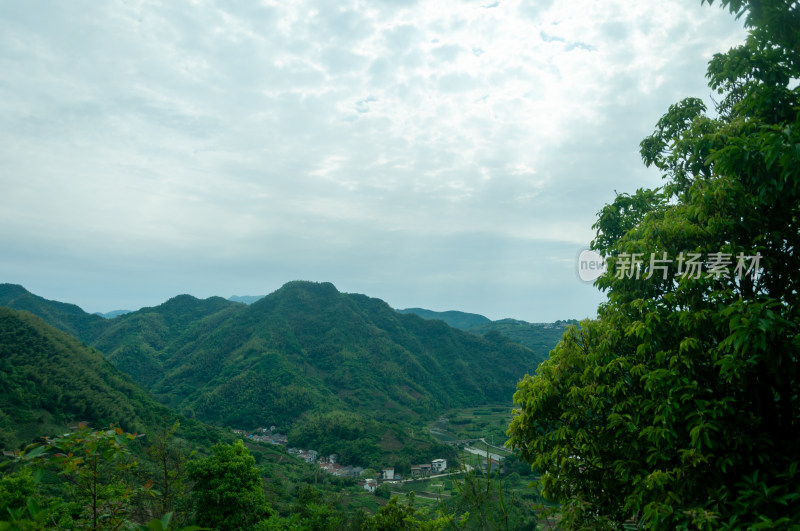 山中的自然风景