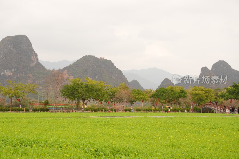 田野绿地与山峦背景的自然景观