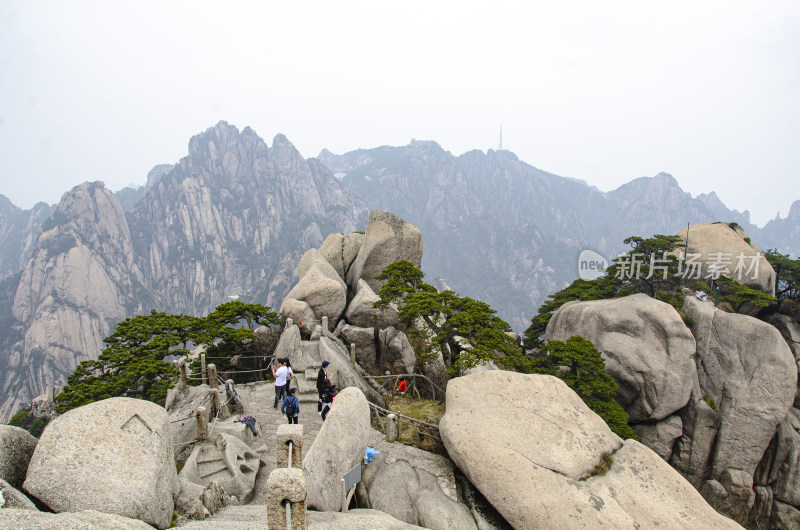 黄山松崖绝壁 险峻山峦 峰峦叠嶂