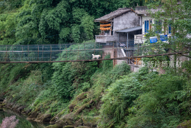 成都市药石岩户外风景