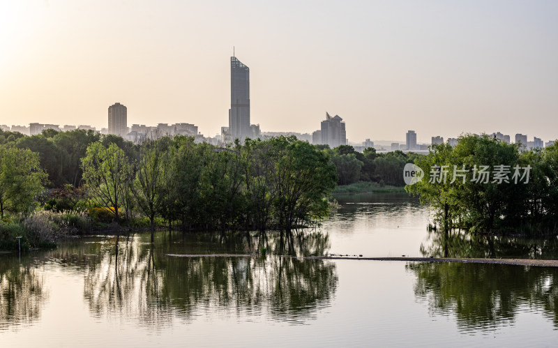 河南三门峡陕州公园天鹅湖景点景观