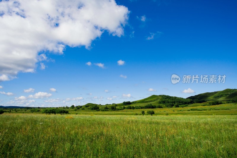 内蒙,坝上,乌兰木统,乌兰木统草原,红山,军马场,草原,草地,