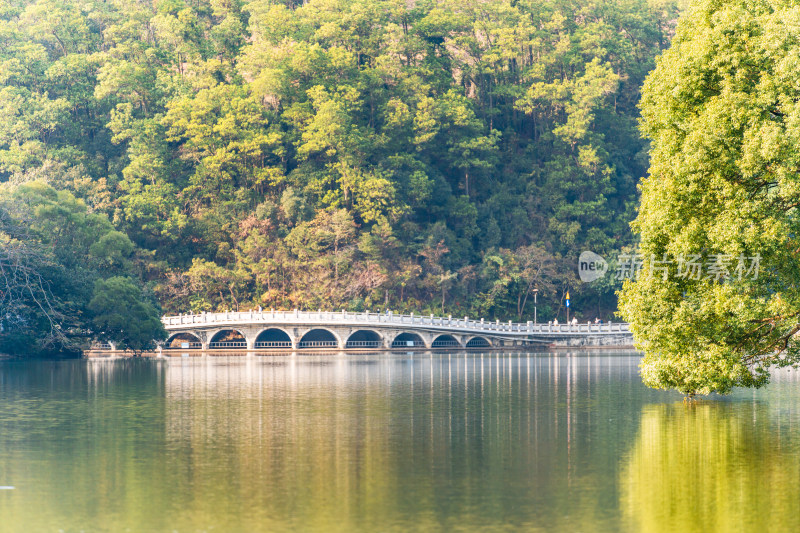 广东省深圳市仙湖植物园自然风光观景台