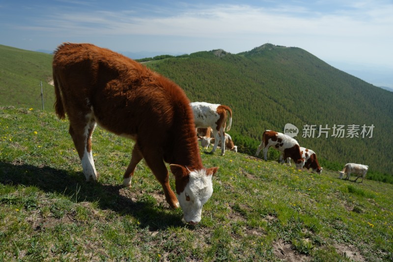 五台山南台风光