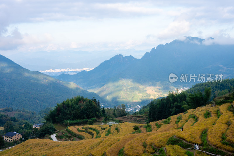 浙江丽水云和梯田景区风光