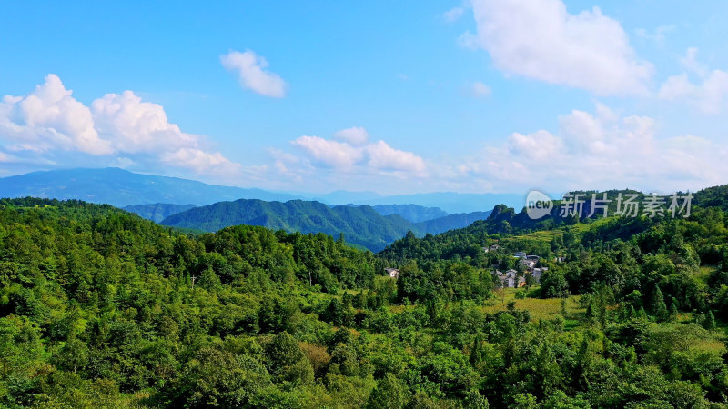 重庆武隆仙女山森林公园