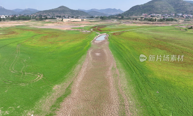 山东枣庄周村水库湿地草原风光