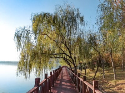 河南省三门峡市天鹅湖风景区