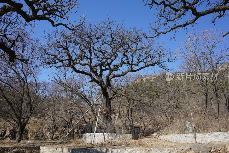 辽宁丹东虎山长城