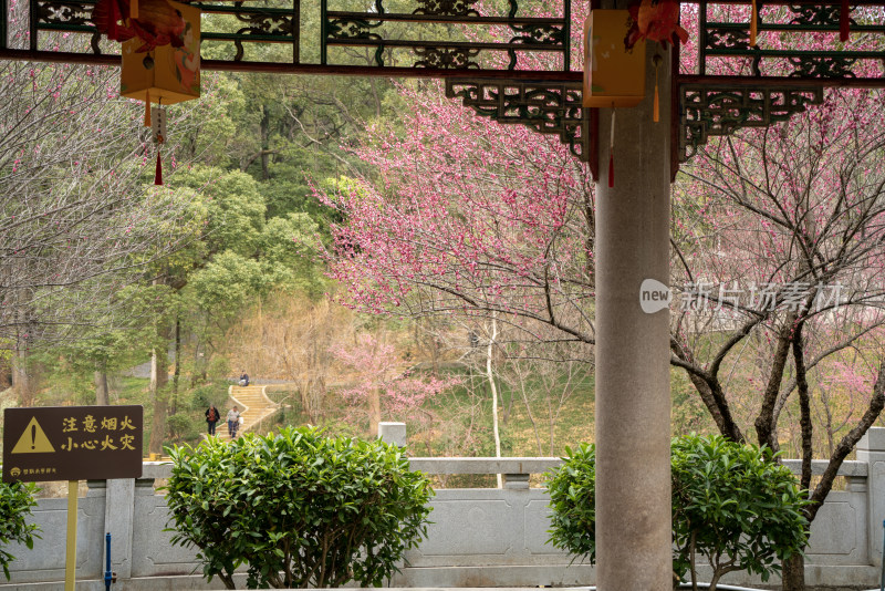 韶关的南华禅寺