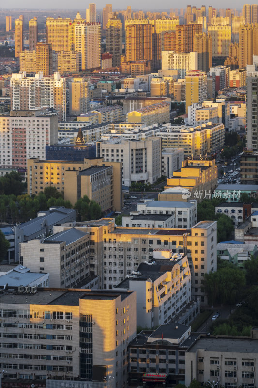 哈尔滨夜景地标性建筑龙塔