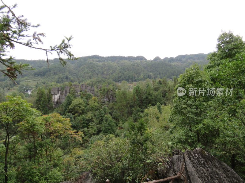 湖北恩施梭布垭石林旅游风光