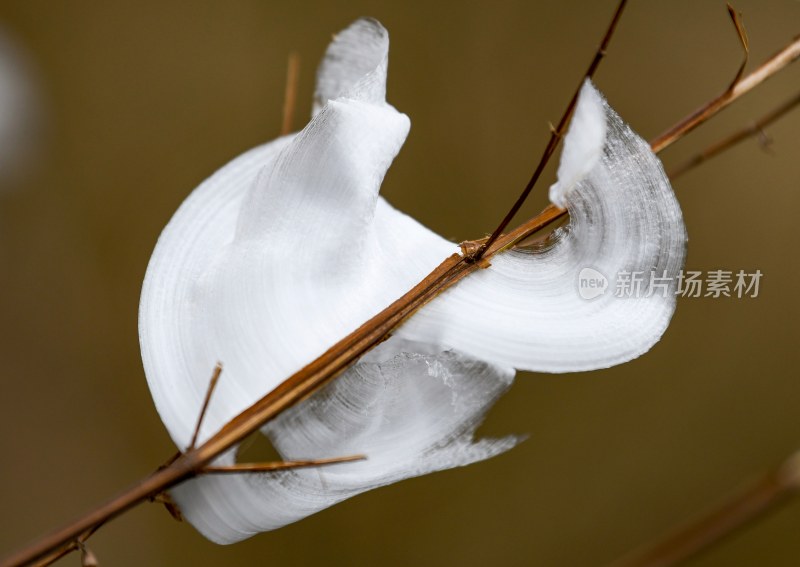 重庆酉阳：冻雨.冰花.