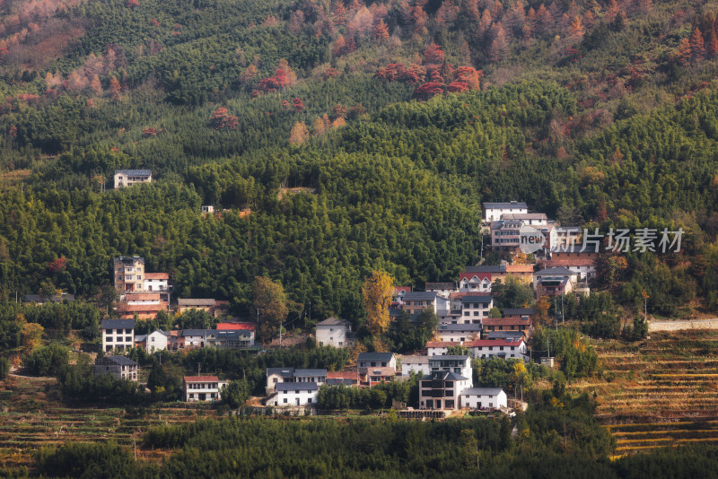 杭州临安林家塘村山坡森林乡村秋色