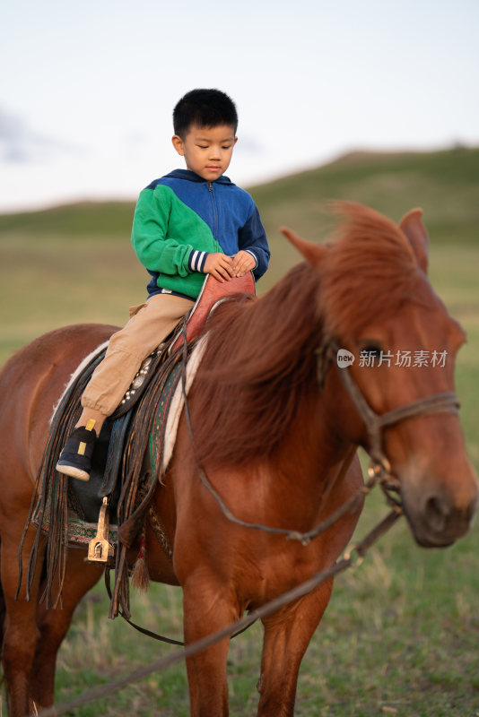 一个小男孩在落日的草原上骑马