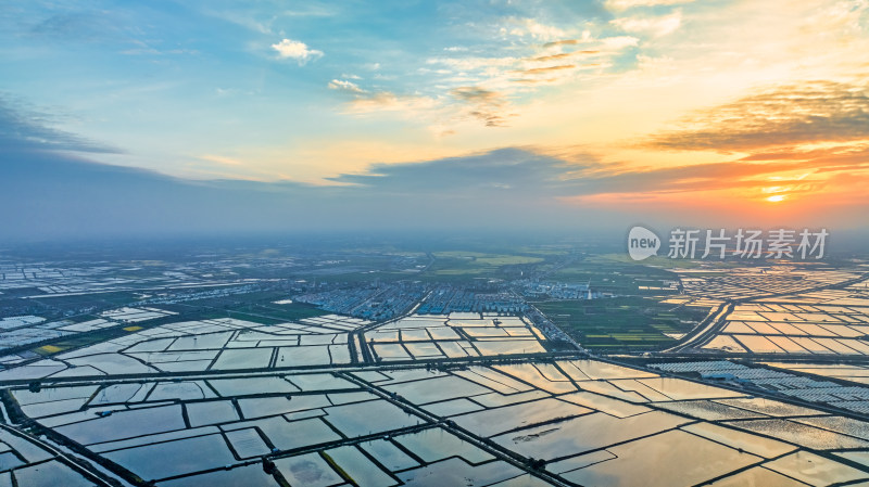 湖北江汉平原的连片养殖鱼塘与夕阳