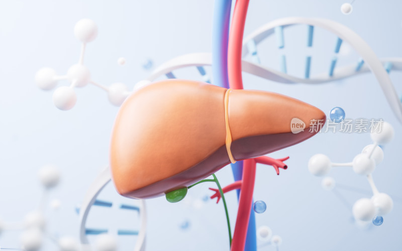 肝脏与生物科技背景3D渲染