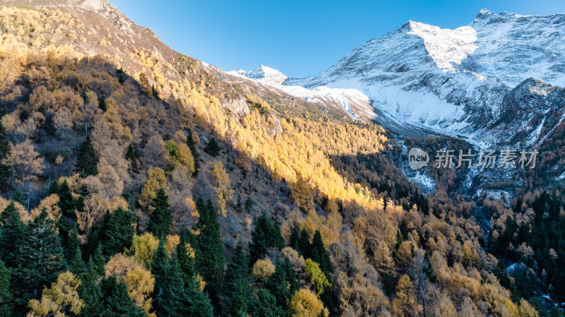 四川阿坝理小路的山区秋日风景