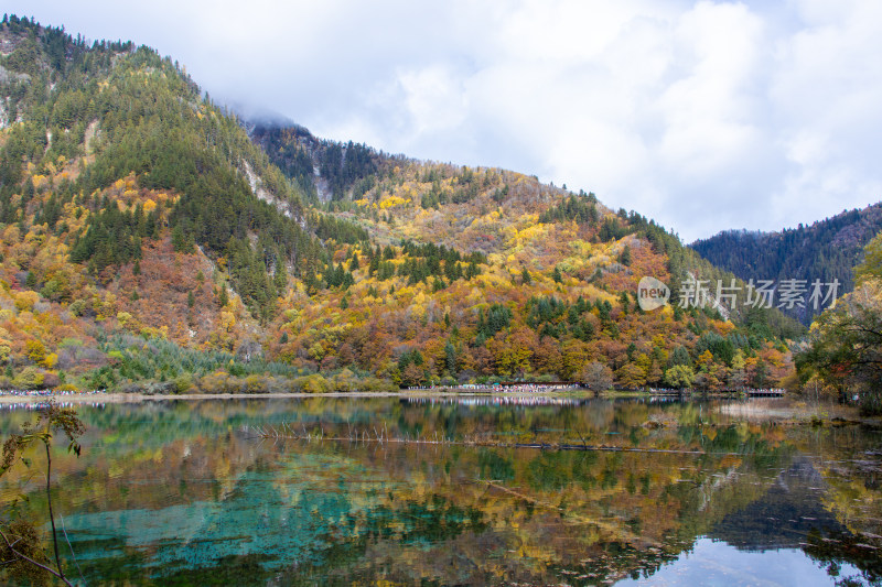 九寨沟五花海秋色，湖光山色层林尽染