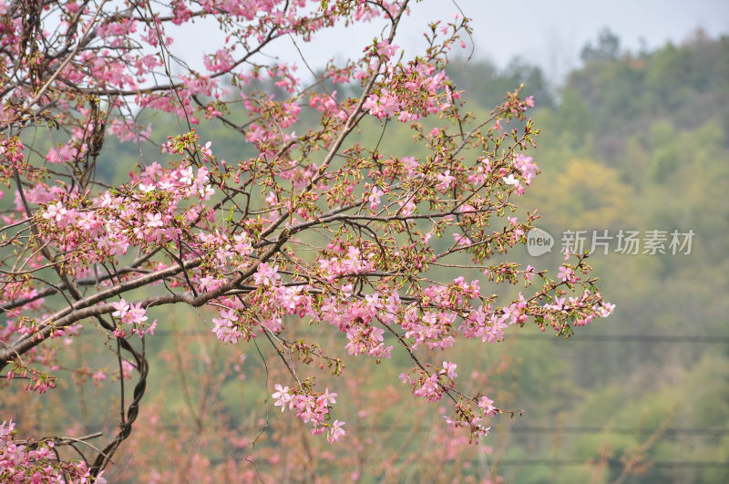 娄底风景 自然风光 风景名胜