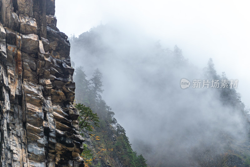 秋天树林云雾山峰