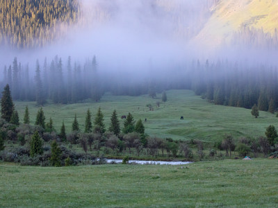 晨雾中的草原森林河流雪山自然风景