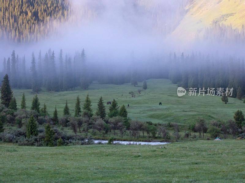 晨雾中的草原森林河流雪山自然风景