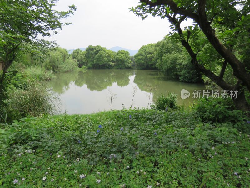 杭州西溪湿地公园风景