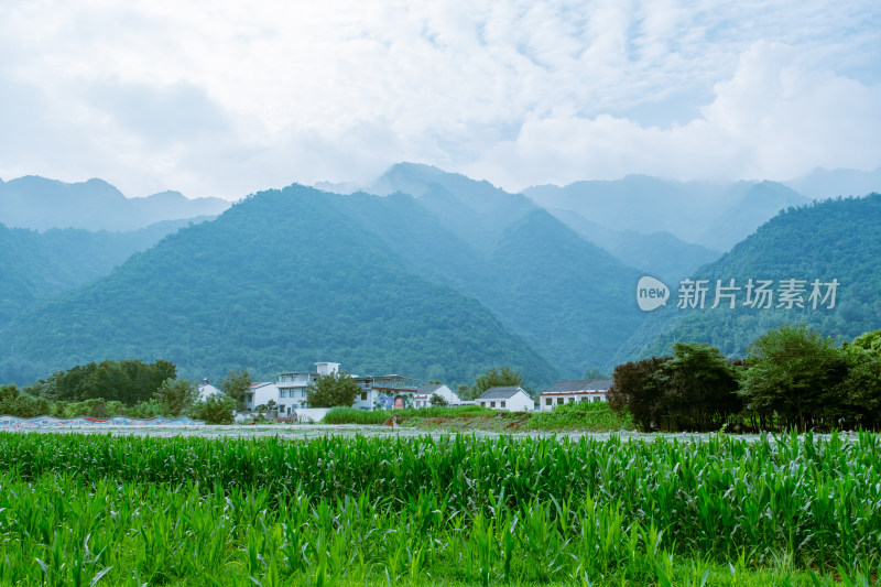 西安市秦岭下的乡村田园风光