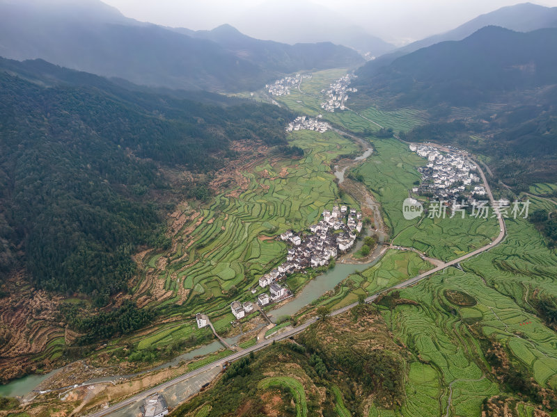 安徽江岭油菜花山谷梯田白墙徽派建筑群航拍