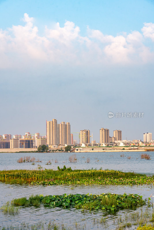 夏天的邹城孟子湖湿地湖泊自然景观