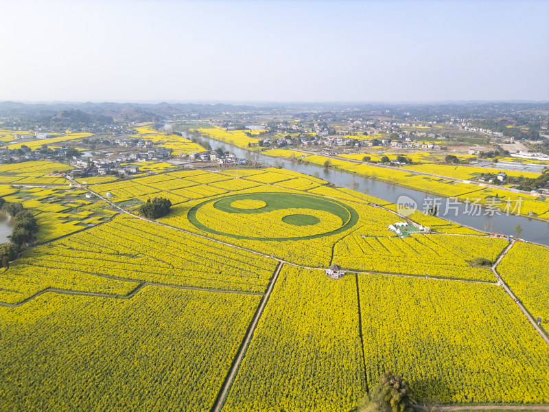 重庆市潼南县陈抟故里崇龛花海油菜花盛开