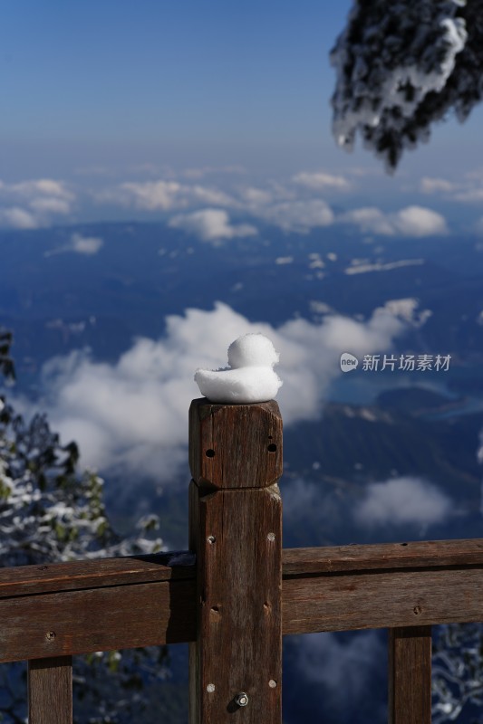 四川眉山瓦屋山景区云海雪景中的小鸭子