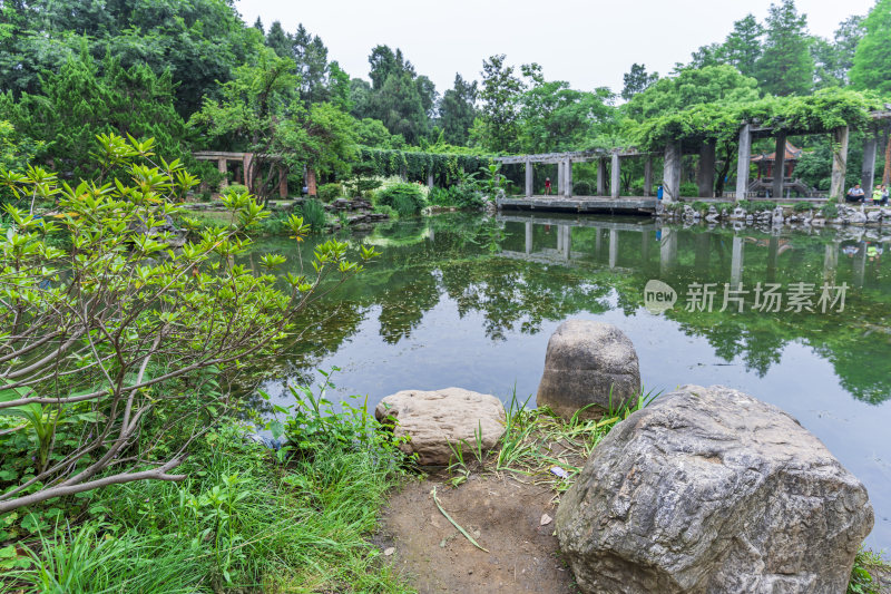 武汉中国科学院武汉植物园风光