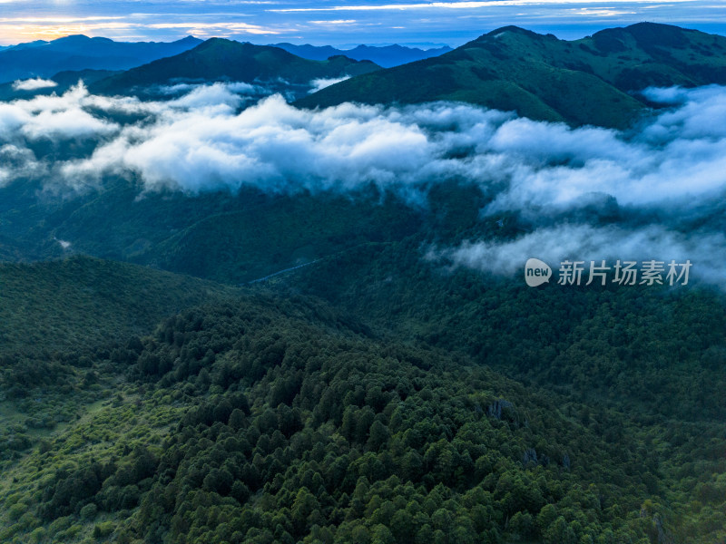 高山云海自然风光航拍摄影图