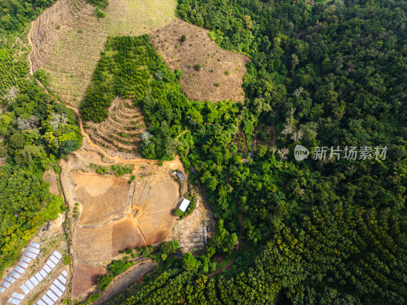 航拍山区绿色生态农业景观