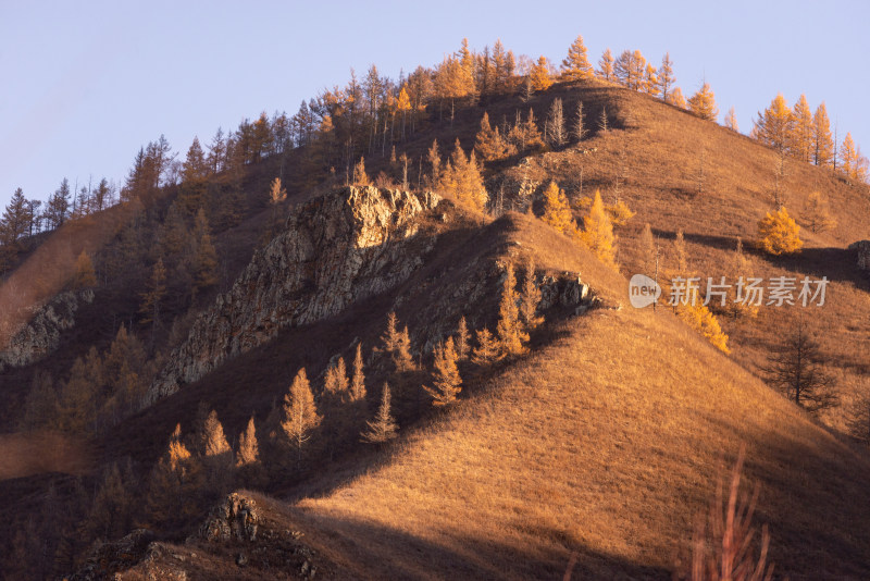 赤峰山林